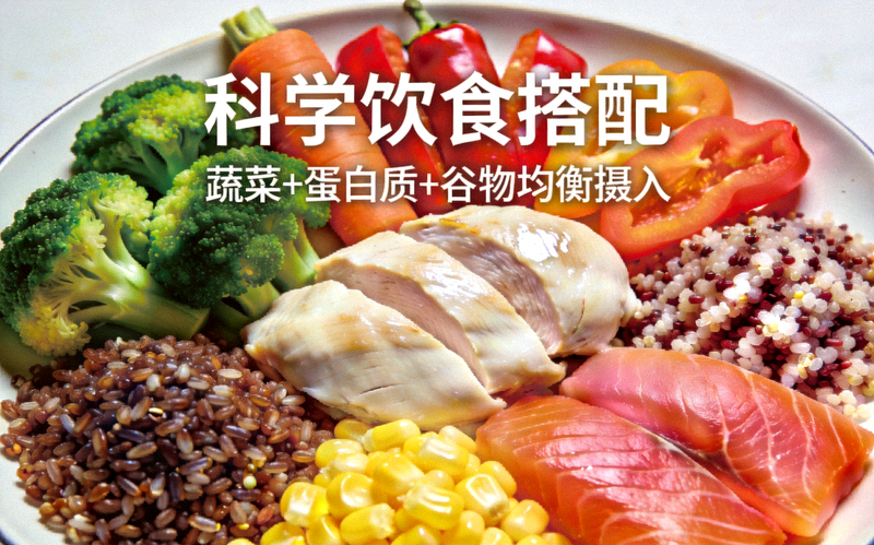 科学饮食搭配展示 - 色彩丰富的健康餐盘，包含蔬菜、蛋白质和谷物